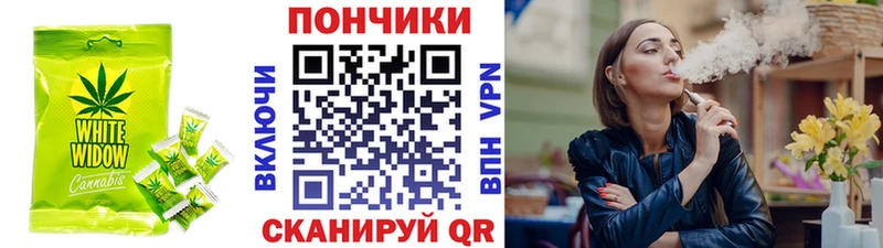 мега онион  как найти закладки  Камышлов  Cannafood конопля 