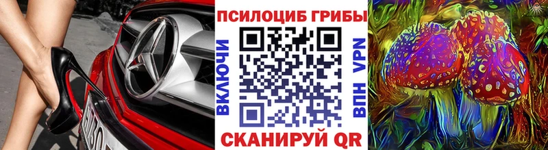shop как зайти  Камышлов  Галлюциногенные грибы Psilocybine cubensis 