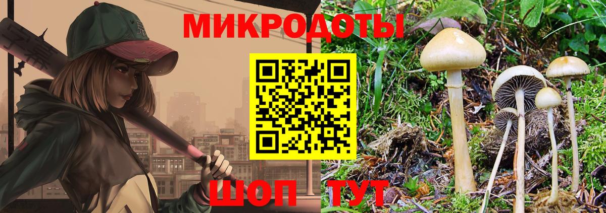 Галлюциногенные грибы Cubensis Камышлов