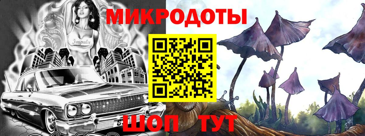 Камышлов  Псилоцибиновые грибы Psilocybine cubensis  Галлюциногенные грибы Psilocybine cubensis  Вход с VPN 